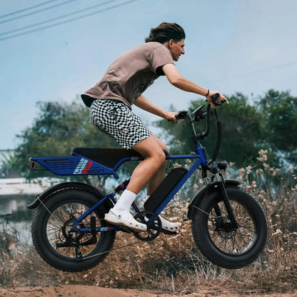 Retrovolt 750W Electric Bike for Adults, 20" Fat Tire Electric Mountain Bicycle, 48V 13Ah Removable Battery, Full Suspension All-Terrain Ebike, UL2849
